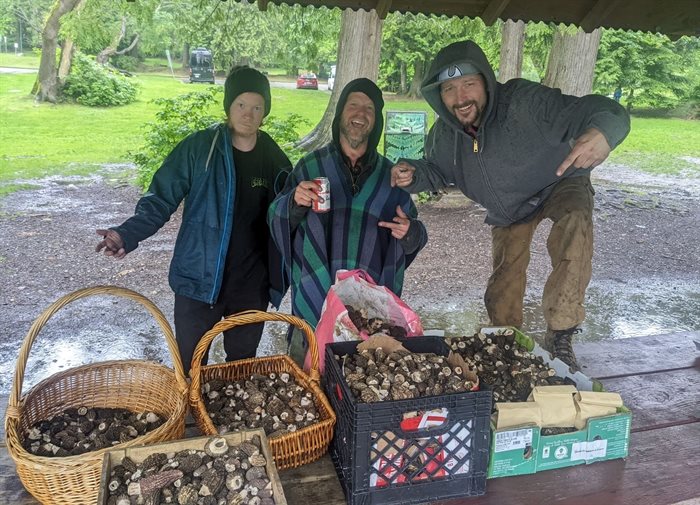 Shawn Kisielius, right, and his friends picked morels in the Okanagan and sold them in the Lower Mainland. 