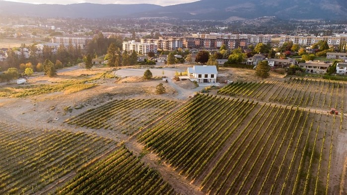 The Gallery Winery in West Kelowna wants to add a lounge and patio.
