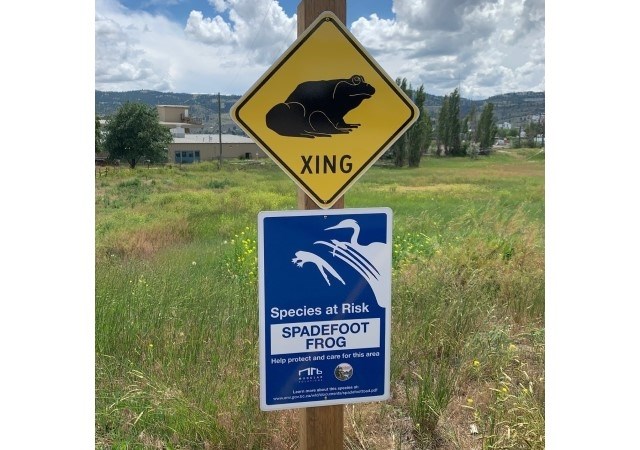 A new toad crossing sign is aimed at awareness of a Great Basin spadefoot habitat for drivers at Mount Paul Industrial Park.