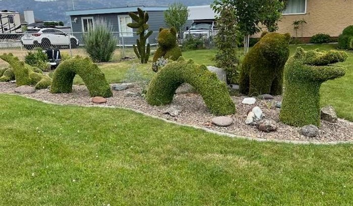 Manuel Fernandez is a topiary artist at his gardens in Burnaby and Osoyoos. This is his Ogopogo plant sculpture in Osoyoos, July, 2022.