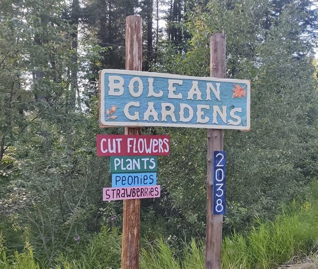 A new sign was erected at the Bolean Gardens in the Falklands, July, 2022.