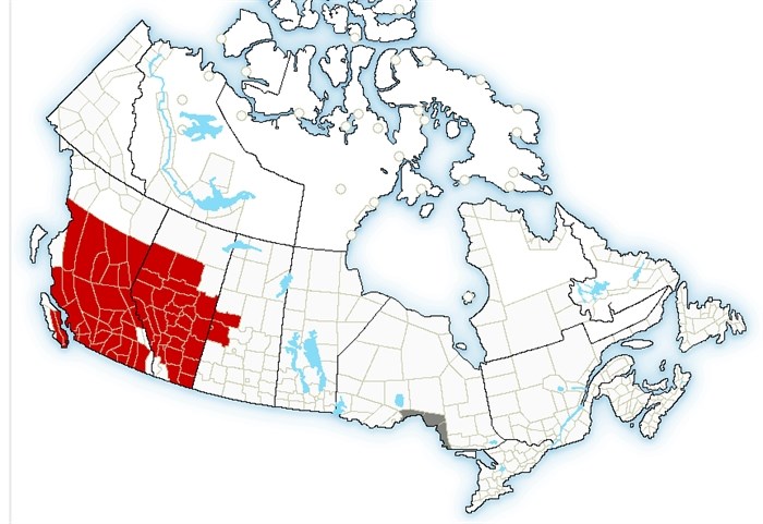 This map shows the extent of the heat warnings, in red, issued by Environment Canada.