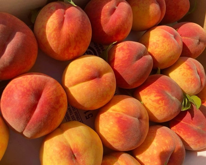 A bunch of peaches.