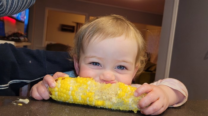 A baby enjoying corn on the cob.