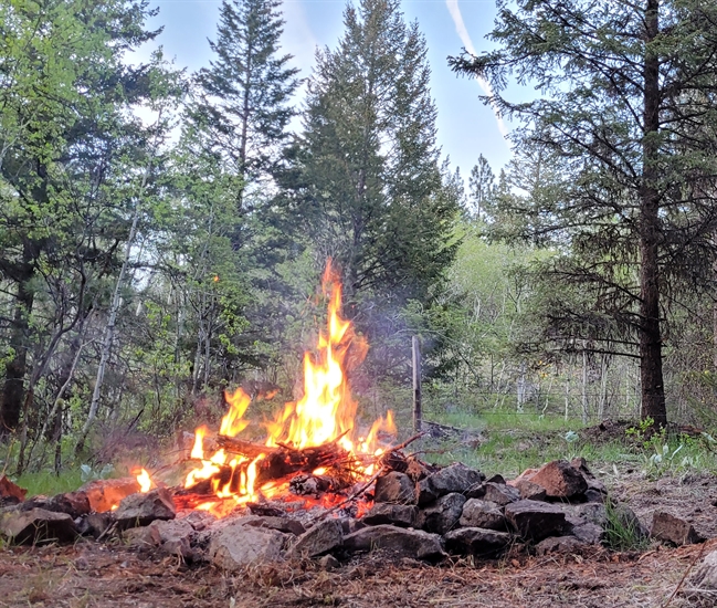 Campfires Banned In Kamloops Fire Centre As Of Noon Today | INFOnews ...