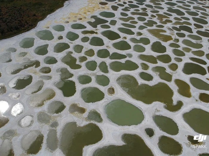 Spotted Lake near Osoyoos