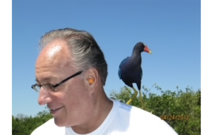Columnist Don Thompson on an airboat (note earplugs) on a visit to the Everglades in 2012. The wild Marsh Hen  - one of 300 species of birds - flew in, landed on his shoulder before foraging for more mosquitoes.
