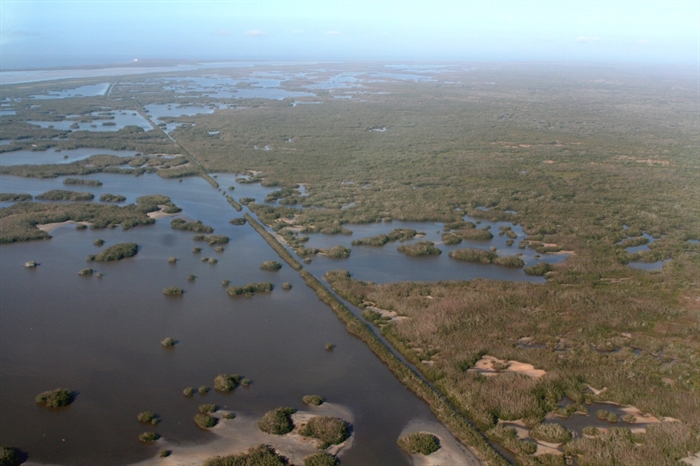 Millions of birds, reptiles, fish and mammals inhabit the 1.5 million-acre Everglades. An aerial view shows miles of sawgrass on the world’s widest river, the Everglades.