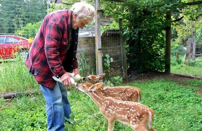 Helen Jameson spent 50 years caring for wildlife in the Kootenay community of Blewett.