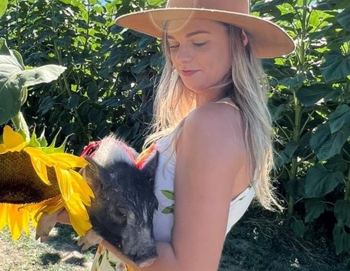 Kamloops resident Keisha Gronning with her pot belly pig at a sunflower farm in Chilliwack. 