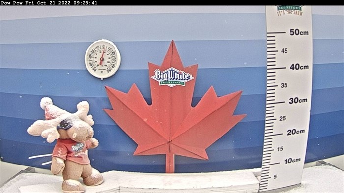 Snow can be seen collecting on a plush moose at Big White Ski Resort.