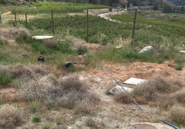 A vineyard now grows over a septic field in the Heritage Hills area near Okanagan Falls. This photo was included in a 2019 inspection of the area when an orchard was still on the property near Parsons Road.