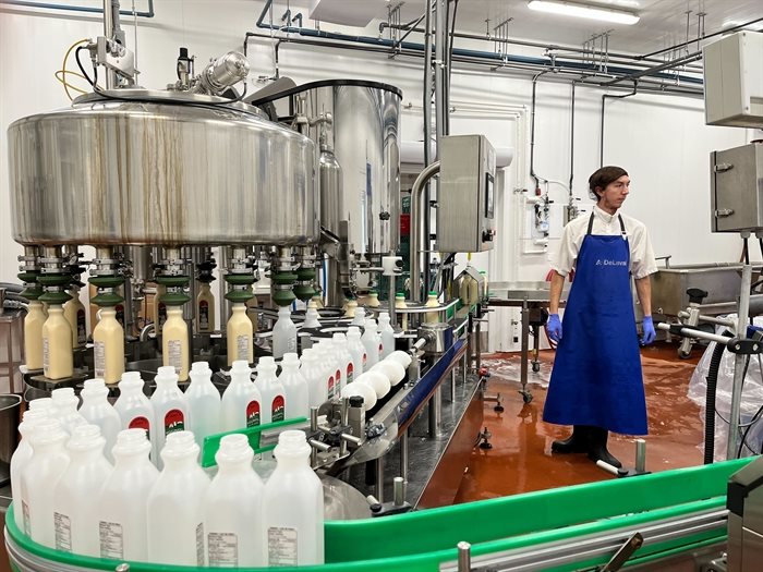 A packaging facility at Blackwell Dairy Farm where an employee is bottling eggnog.