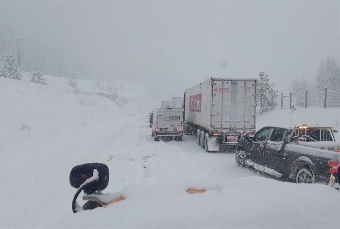 A lineup at Larson Hill on Highway 5 after an accident.