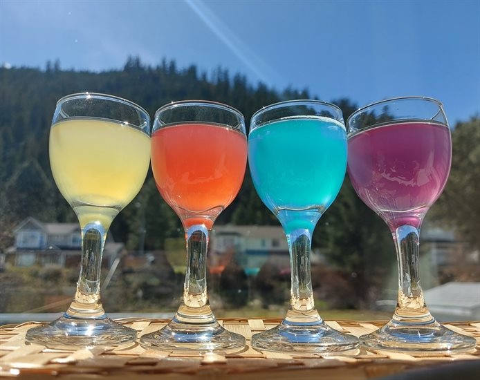 Tropicaide, Cherry Coda, Bunny Hops and Concordiaide flavoured kombucha brewed by KMK Living Inc. in Kamloops. 
