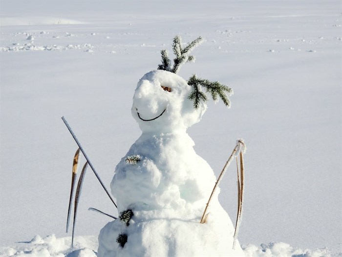 Not the actual snowman described in this column. Ours was brutally attacked and destroyed by our toddler.