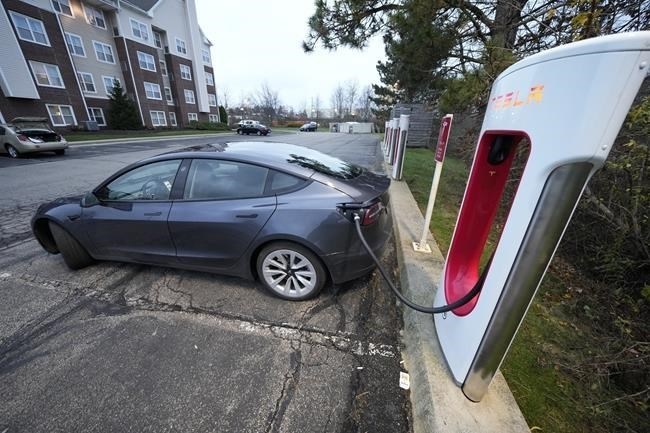 Tesla cuts automobile costs in bid to spice up flagging demand | iNFOnews
