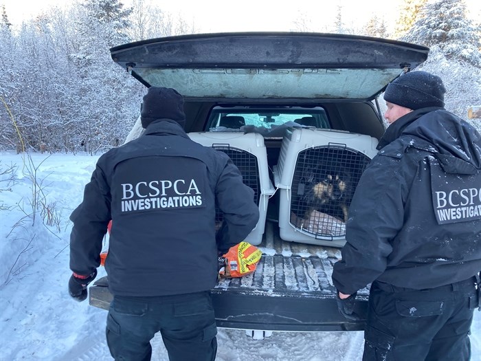BC SPCA officers.