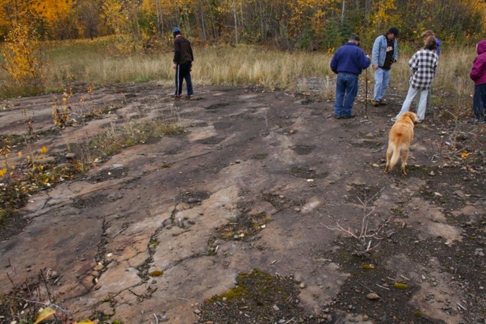 A photo of dinosaur trackways at the Six Peaks Dinosaur Track Site from 2008.