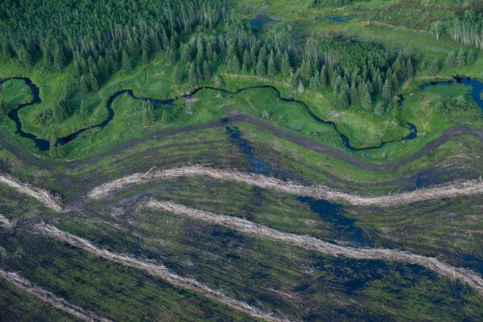 Treaty 8 territories are fragmented landscapes from fracking, forestry, agriculture and more.