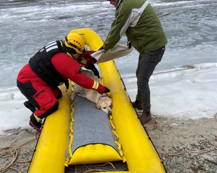 A dog who fell in a river in Kamloops was saved by the fire department. 