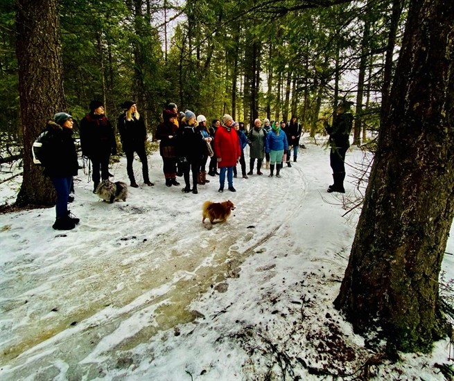 Winter Forage & Tree Talk in the Shuswap led by  Christine Tether of Nettle and Oat Herbal Holistics