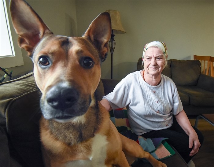 Hanna Opanasko with Tyson at their Penticton apartment. Tyson was the dog her grandson rescued on the front lines of the Russian Ukraine war several years earlier.