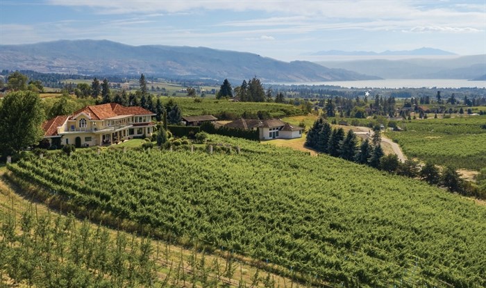 Vibrant Vine winery and villa are for sale together.