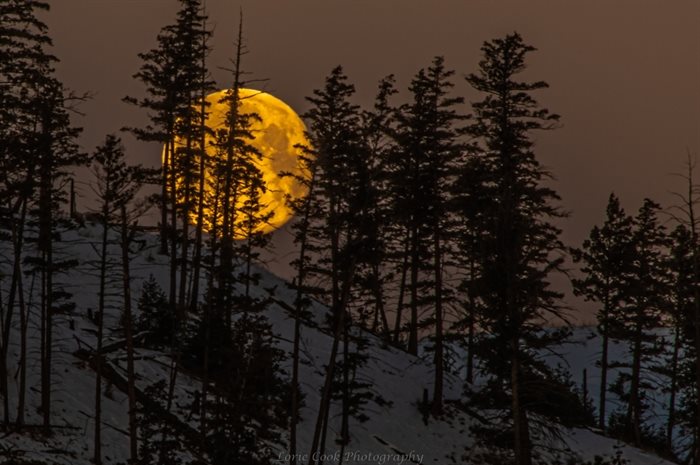 Full March moon over Grand Forks. 