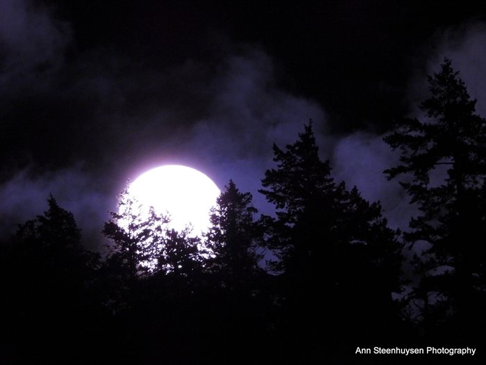 Full March moon over Sorrento. 