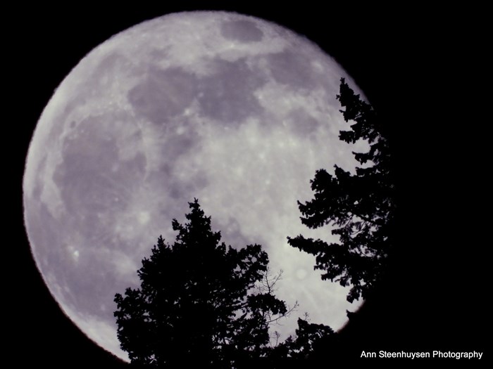 Full March moon over Sorrento. 