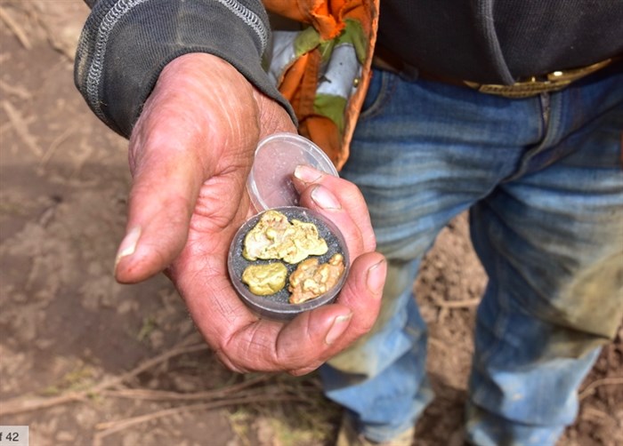 These are gold nuggets from a Likely mining operation.