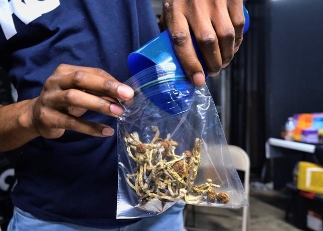 A vendor bags psilocybin mushrooms at a cannabis marketplace in Los Angeles, Friday, May 24, 2019. A lawyer alleged Tuesday Canada's government violated the constitutional right to life, liberty and security of hundreds of patients who are on a waiting list to access psilocybin-assisted psychotherapy by rejecting applications from health-care professionals requesting permission to ingest restricted drugs as a part of their training to provide the service.