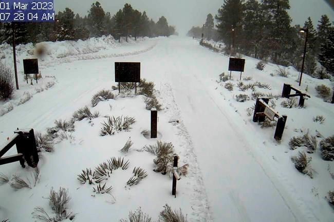 Grand Canyon Delays Opening Of North Rim Due To Snowfall | INFOnews ...