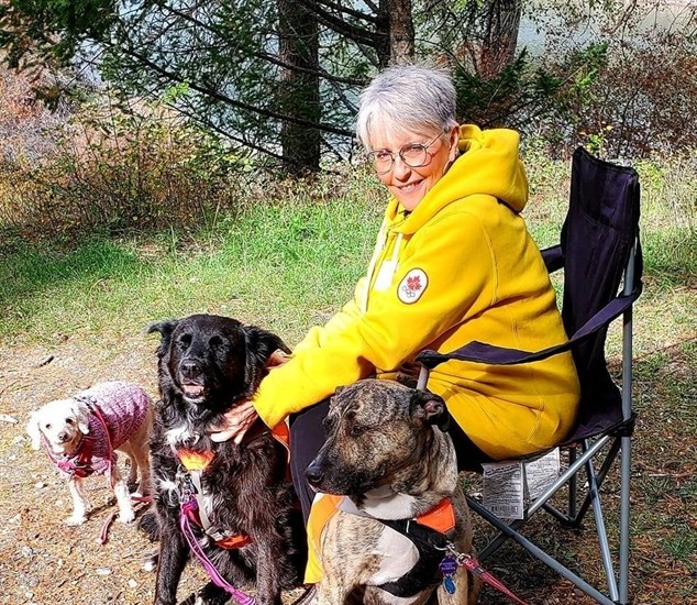 Vernon resident Karen Cooper with her three dogs. 
