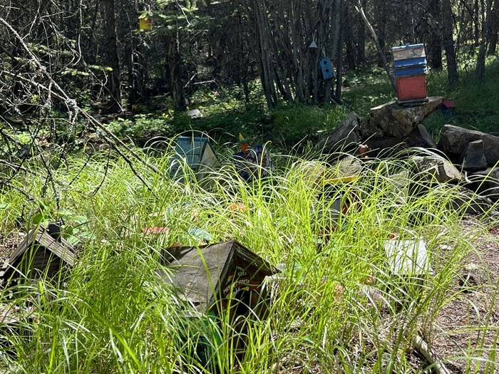 Fairy houses in the long grass in Kamloops. 