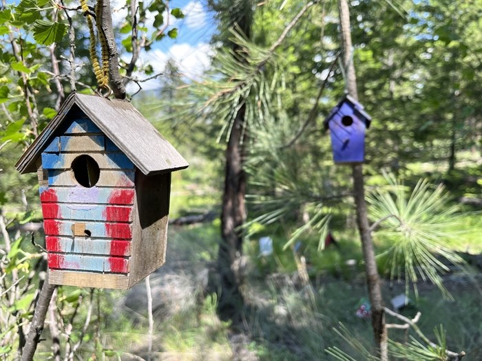 Dozens of painted bird houses hang from trees in a fairy garden in Kamloops. 