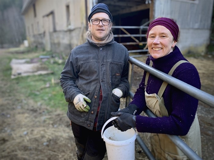 Linnaea Farm stewards Adam Schick and Tamara McPhail have been using regenerative agriculture techniques for two decades.