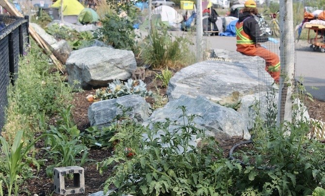 Debbie Houghtaling has created what she sees as a community garden with flowers and vegetables.
