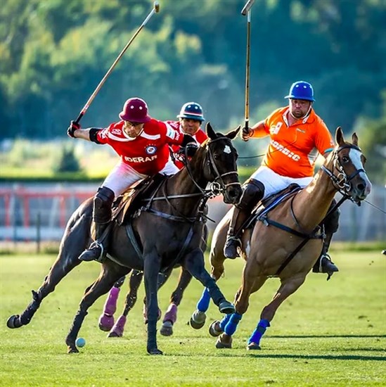 Polo action will be high on many people's social calendar on the August long weekend.