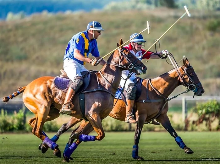 Polo action will be high on many people's social calendar on the August long weekend.