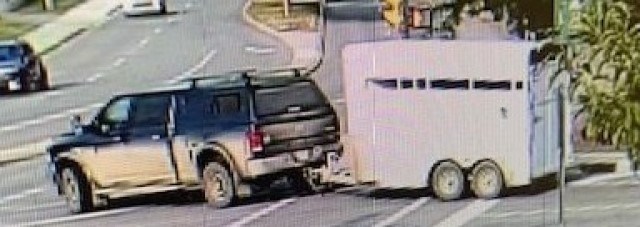 Verity Bolton was seen driving a 2012 Dodge Ram 2500 towing a horse trailer on July 15, 2023.
