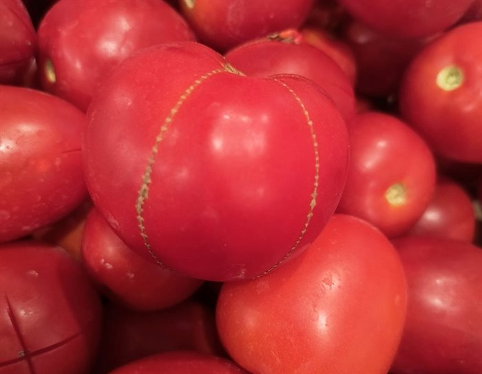 This tomato came out of a Kelowna garden in stitches. 