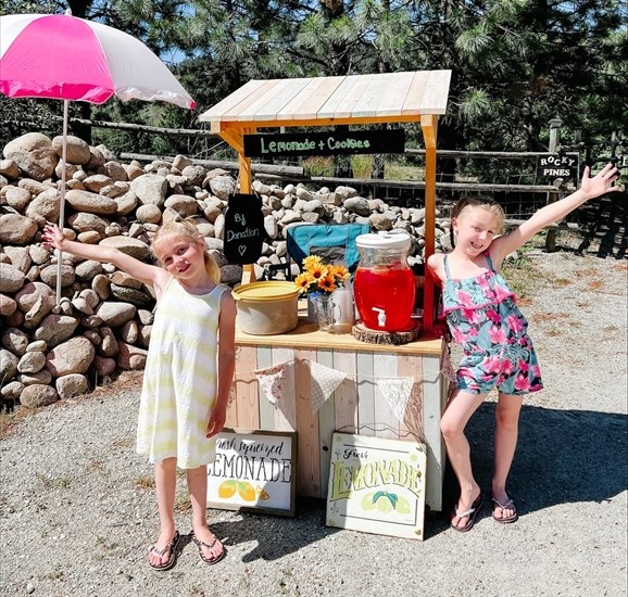 This is the fourth summer that Abby, 9, and Emily, 8, have been running their lemonade stand. 