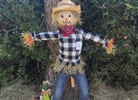 A scarecrow entry in Kelowna&#39;s annual Scarecrow Festival in an undated photo. 