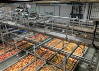 BC Tree Fruits facility in Oliver, B.C.