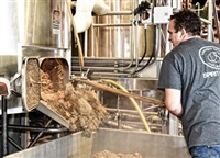 A worker shovels corn grain from a piece of equipment at Okanagan Spirits Craft Distillery in Vernon.