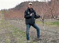 Owner at Davison Orchards Country Village in Vernon, Tom Davison inspects peach buds in a video posted on March 11, 2025. 