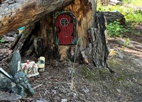 This painted fairy door is on a path at one end of a fairy garden in a Kamloops forest. 