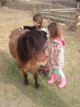 After rehabilitation Autumn now loves the attention she gets from everyone.